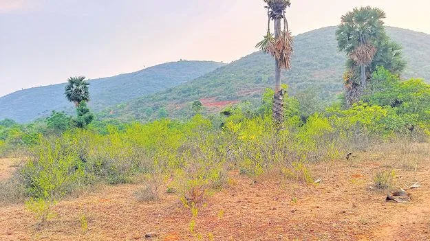 తర్లువాడలో గూగుల్‌ డేటా సెంటర్‌