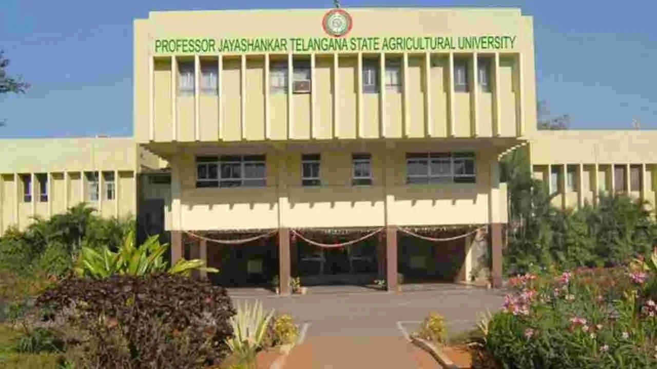 PJTSAU: వెస్టర్న్‌ సిడ్నీ వర్సిటీతో కొత్త విద్యా కోర్సులు 