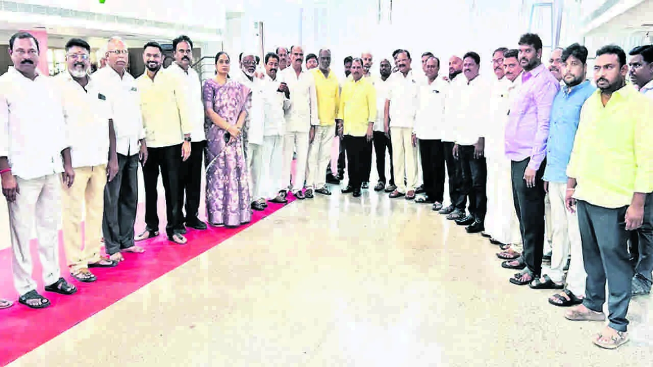 MLA: మినీ మహానాడును విజయవంతం చేద్దాం