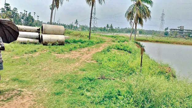 As if you know or don't know! తెలిసినా తెలియనట్టు!