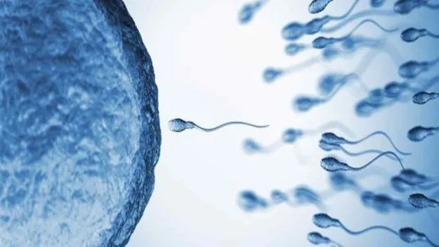 World's First Sperm Race: అమెరికాలో వింత రేసు.. వీర్య కణాల మధ్య పరుగుపందెం.. భారీ స్థాయిలో ఏర్పాట్లు
