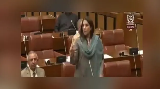 Palwasha Mohammad Zai Khan: మరో పాక్ నేత వాచాలత.. కొత్త బాబ్రీ మసీదు తొలి ఇటుక పేర్చేది తమ సైనికులేనంటూ కామెంట్