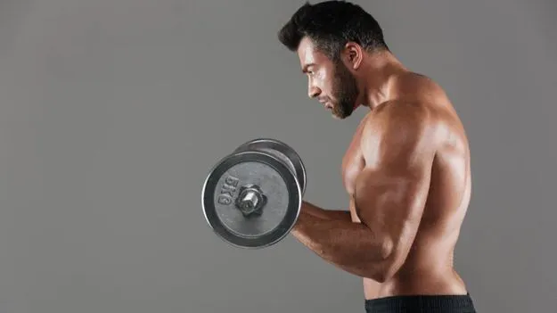 Supplements for Muscle Growth: క్రియాటిన్, ప్రొటీన్ సప్లిమెంట్స్... మజిల్స్ పెంచేందుకు ఏది బెటరంటే.. 