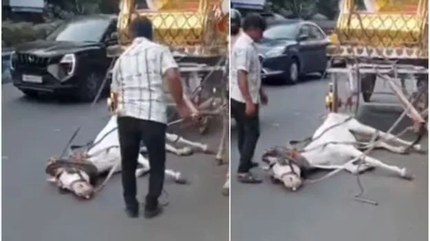 Kolkata Horse Heatstroke Incident: ఎండ దెబ్బతో మూర్ఛపోయిన గుర్రం.. అయినా దాన్ని హింసించిన యజమాని