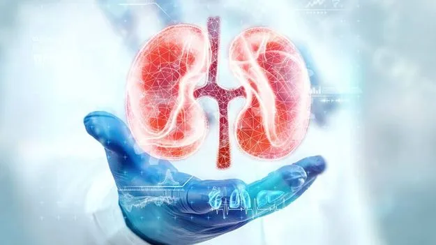 Harmful Medications For Kidneys: ఈ ఔషధాలను పరిమితికి మించి వాడుతున్నారా.. కిడ్నీలు రిస్క్లో పడ్డట్టే