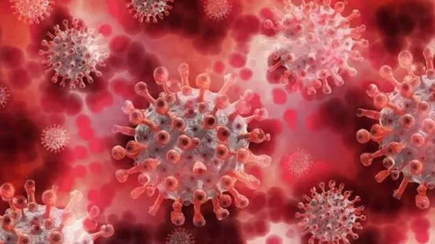 JN.1 COVID 19 Variant: కొవిడ్ కేసుల పెరుగుదల.. ఏమిటీ జేఎన్.1 కరోనా వేరియంట్