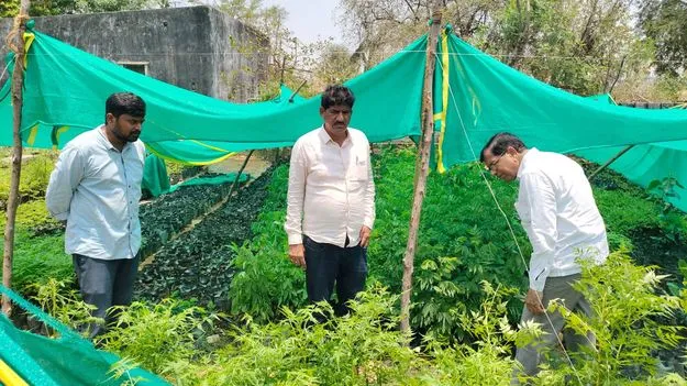 మొక్కలకు క్రమం తప్పకుండా నీరందించాలి