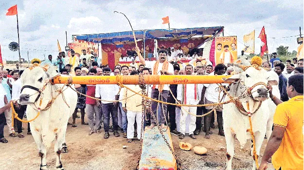 ఎడ్ల బలప్రదర్శన పోటీలు ప్రారంభం