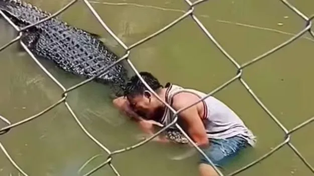 Crocodile Attacks Tourist: కొలనులో ఉన్న మొసలి వద్దకు వెళ్లి మరీ సెల్ఫీకి ప్రయత్నం.. షాకింగ్ వీడియో