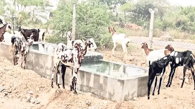 ‘ఉపాధి’ నిధులతో నీటితొట్ల నిర్మాణాలు