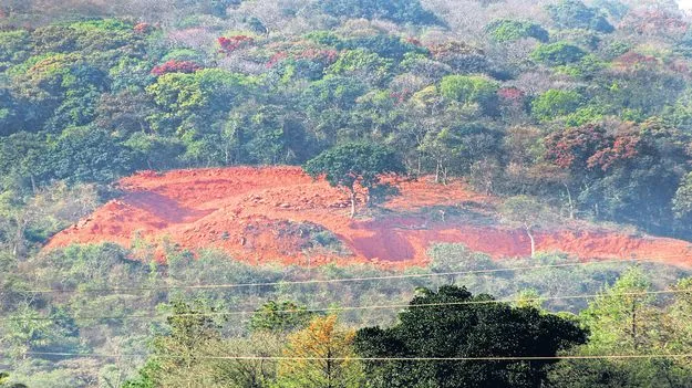 లేటరైట్‌ తవ్వకాలకు మైనింగ్‌ మాఫియా సన్నద్ధం