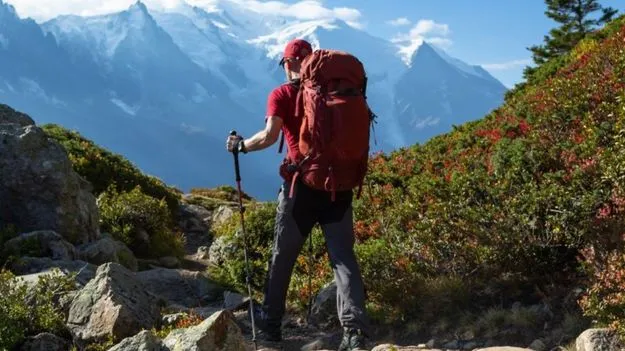 ChatGPT Legal Advice: లాయర్‌గా మారిన చాట్‌జీపీటీ.. ప్రయాణికుడికి దక్కిన న్యాయం