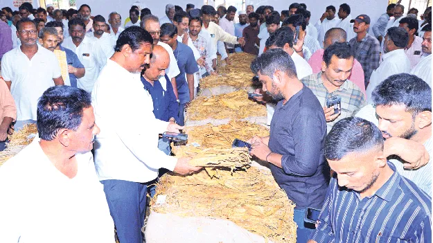 పొగాకు రైతులకు అండగా ఉంటాం