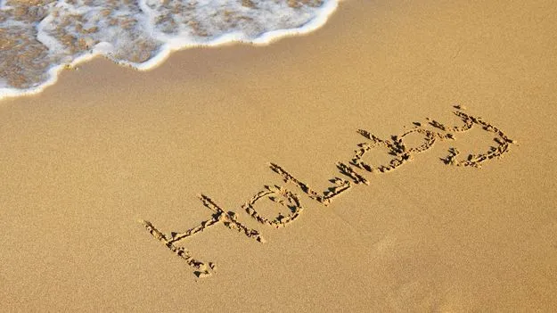 Excessive Holidays: భారత్‌లో సెలవులు తగ్గించాలన్న సీఈఓ.. జనాల రెస్పాన్స్ ఇదే