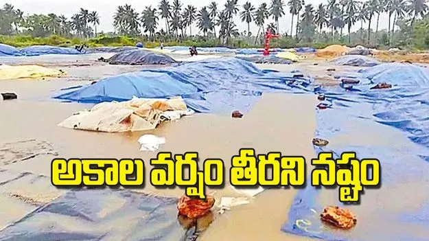 Heavy Rainfall: అకాల వర్షం తీరని నష్టం
