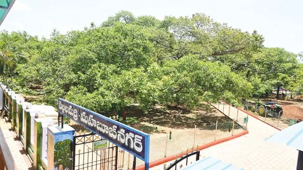 సుందరీమణుల రాకకోసం..