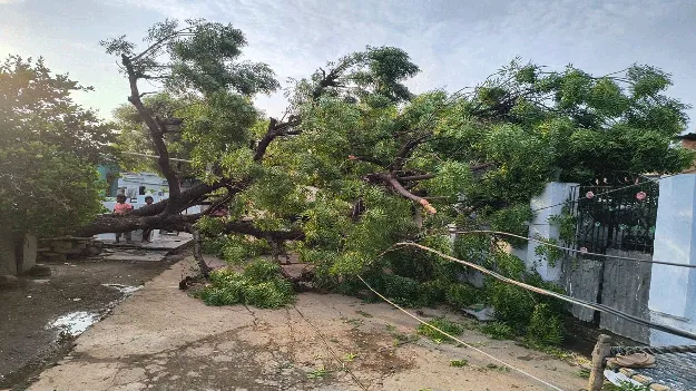 గాలీవాన బీభత్సం