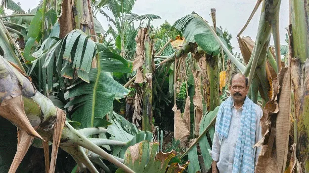 పెనుగాలులకు తీవ్ర నష్టం 