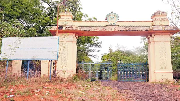 తెలుగు..వెలుగు!