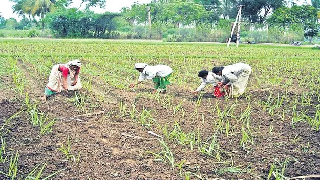 ఖరీఫ్‌ సాగుకు ప్రణాళిక