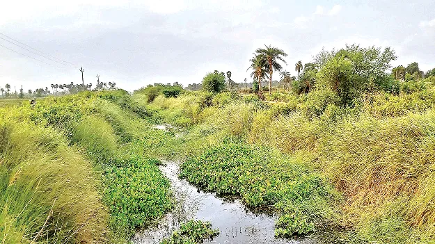 Minister Nimmala Ramanaidu: అమాత్యా.. ఇవిగో సమస్యలు