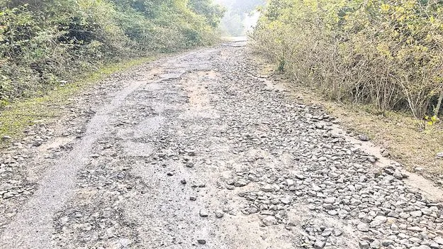 దారి ఘోరం