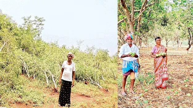 ముంచిన గాలివాన