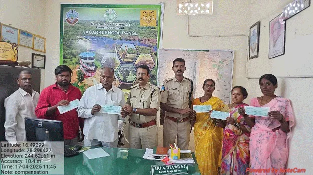 అటవీ జంతువులకు హాని తలపెట్టొద్దు