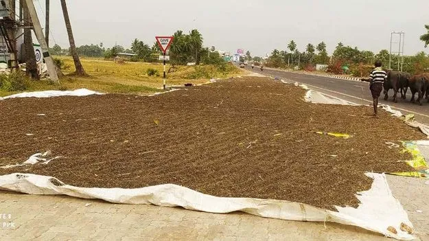 ధర లేక దిగాలు