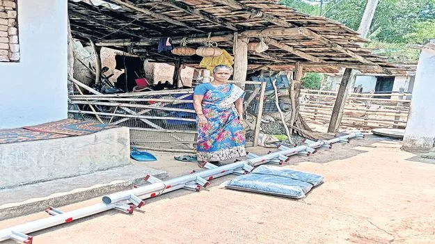 మహిళా కాఫీ రైతులకు ప్రోత్సాహం