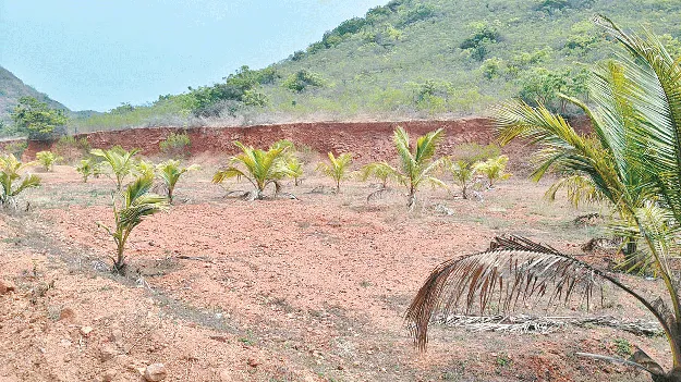 stand on Pulikonda పులికొండపై తిష్ఠ