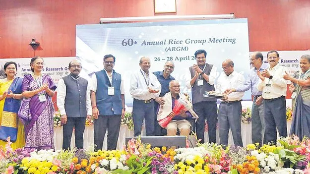 వరి సాగు విస్తీర్ణాన్ని 5 శాతం తగ్గించాలి