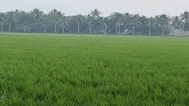 ఇంకెన్ని ఇచ్చారో..?