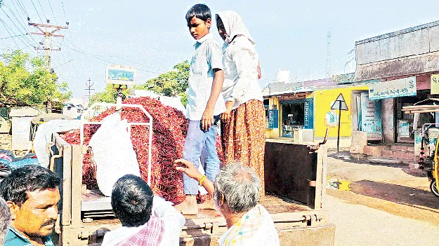 మిర్చి రైతుకు నష్టాలు 