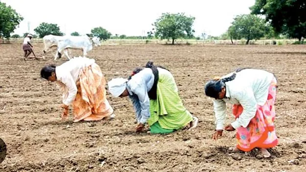  కేరళను తాకిన నైరుతి రుతు పవనాలు 