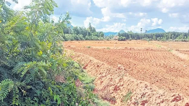 ప్రభుత్వ భూమి కబ్జా