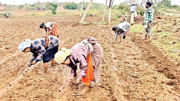 తొలకరితో రైతు పులకింత