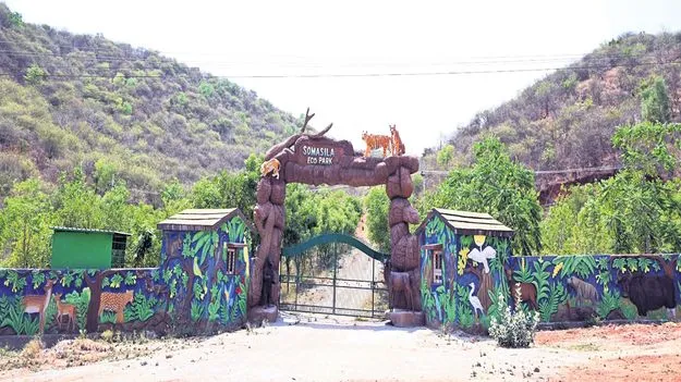 మూన్నాళ్ల ముచ్చటగా సోమశిల సఫారీ టూర్‌ 