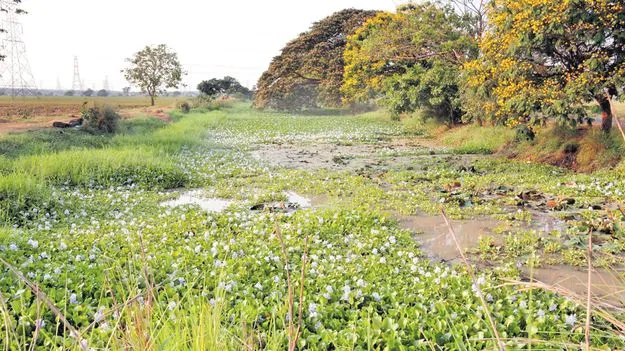 పంట కాల్వల ఆధునికీకరణ 