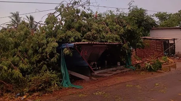 గాలి.. వాన..