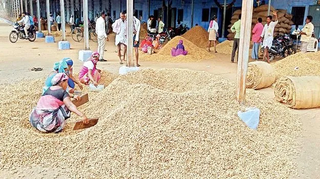 వేరుశనగ ధర రూ.6,287