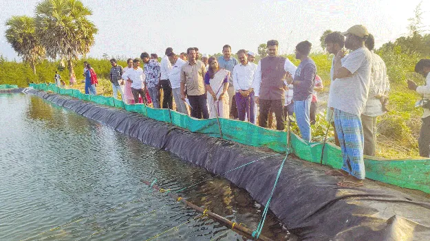 నాచు సాగు పర్యావరణానికి మేలు: కలెక్టర్‌