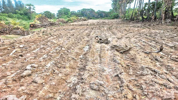 encrochements by some persons గెడ్డపై గెద్దలు 