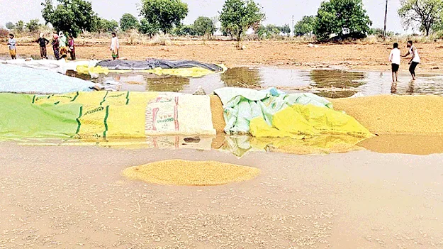 అకాల వర్షం..అపార నష్టం