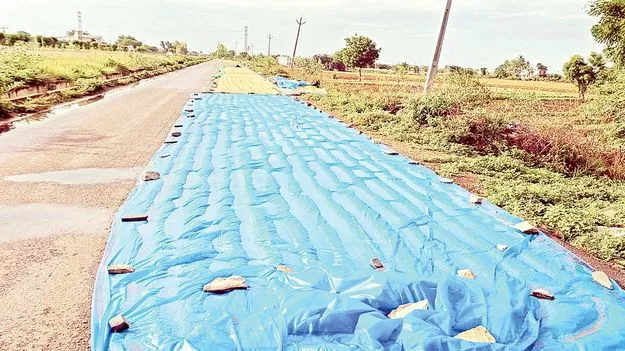 జిల్లాలో విస్తారంగా వర్షాలు 