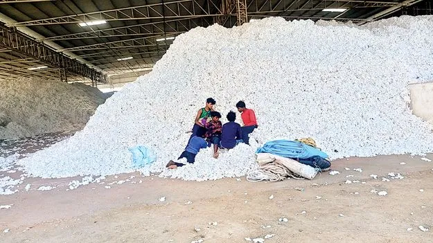    అన్నదాతకు తీపి కబురు