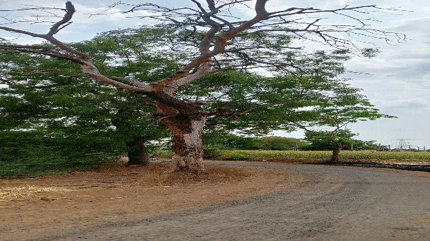 పొంచి ఉన్న ప్రమాదం 