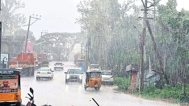 మన్యంలో భారీ వర్షం