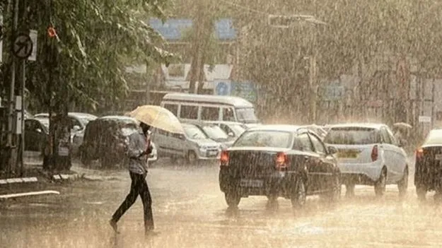 Early Monsoon: ముందస్తు ఖరీఫ్‌ సాగు పదేళ్లలో ఇదే మొదటి సారి