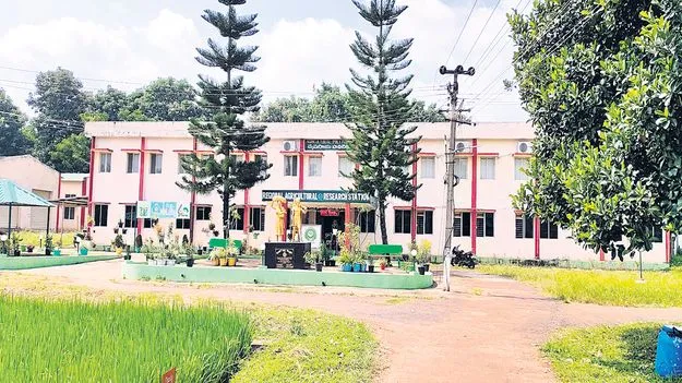 అగ్రికల్చర్‌ పాలిటెక్నిక్‌లో ప్రవేశాలకు వేళాయె